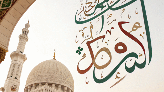 ——————————–pictures